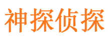 安吉市调查公司